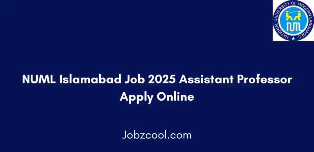 NUML Islamabad Job 2025 Assistant Professor Apply Online